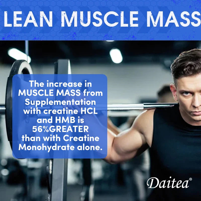 creatine monohydrate supplement 3000 mg
